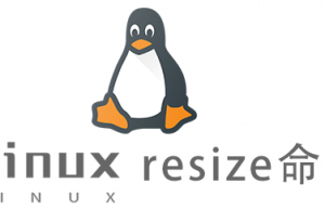 Linux常用命令resize命令具体使用方法