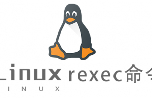 Linux常用命令rexec命令具体使用方法