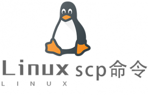 Linux常用命令scp命令具体使用方法