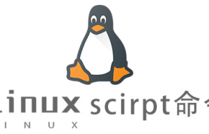 Linux常用命令scirpt命令具体使用方法