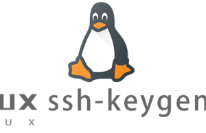 Linux常用命令ssh-keygen命令命令具体使用方法