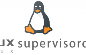 Linux常用命令supervisord命令具体使用方法