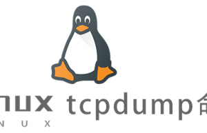 Linux常用命令tcpdump命令具体使用方法
