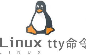 Linux常用命令tty命令具体使用方法