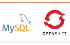 Linux如何搭建openvpn+mysql数据库认证