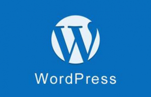 使用WPSeku找出 WordPress 安全问题具体方法