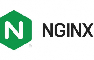 Linux下配置Nginx反向代理具体方法