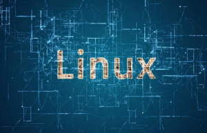 Linux系统lvm卷扩展