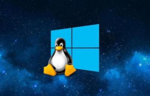 Linux+Windows双系统安装具体步骤
