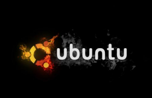 Ubuntu Server 18.04中配置静态IP具体方法