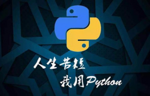 详解Python整数和变量