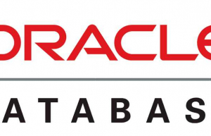 Linux下每天自动备份Oracle数据库