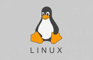 详解Linux ip命令使用实例