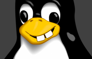Linux下使用sudo命令不需要密码方法