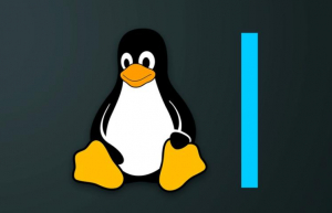 Linux 下安装和使用NetHogs