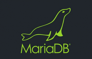 Linux下安装数据库管理系统MariaDB
