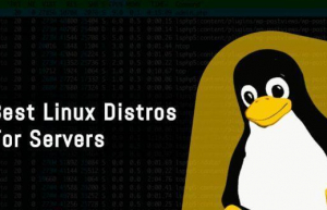 深受喜爱的5款Linux服务器发行版