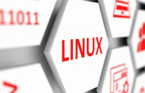 Linux shell脚本获取外网IP地址