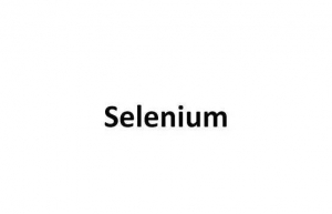 使用selenium实现cookies免密登录