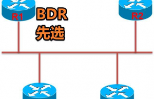关于OSPF网络中DR/BDR选举问题