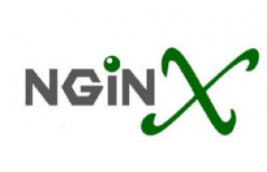 高性能的反向代理服务器：Nginx基本使用