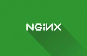 nginx反向代理获取客户端的真实IP和域名