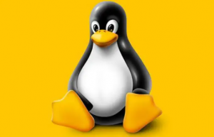Linux中通过 Bash 创建一个临时文件