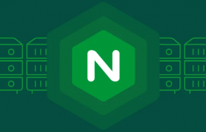 Nginx配置多个服务域名解析共用80端口具体方法