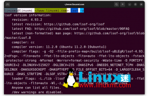 Linux高手必备工具：掌握 LSOF 命令实时监控端口