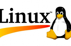 Linux 中配置独立冗余磁盘阵列