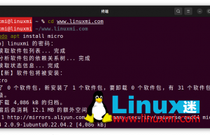 3 款最适合初学者的强大的 Linux 终端文本编辑器