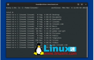 如何使用 Linux 上的 watch 命令定期运行程序