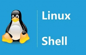 SHELL编程 – 文本处理和过滤