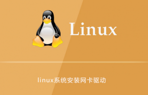 Linux系统如何安装网卡驱动