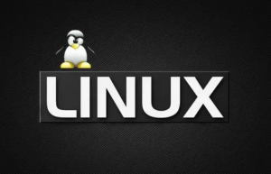 Linux获取默认网关具体方法