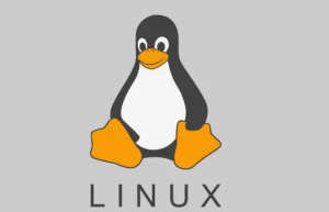 使用 Linux 网络虚拟化技术探究容器网络原理