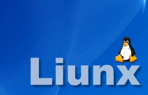 linux下system()函数的总结
