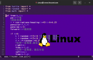 分享面向 Power Linux 用户的基于终端的文本编辑器
