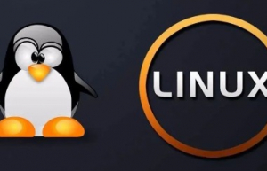 Linux shell逐行处理文本求和，我人傻了…