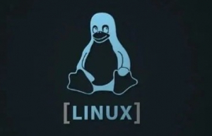 新手请进，全网最全 Linux 命令总结，建议收藏！