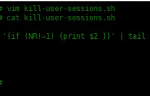 如何在 Linux 中使用 Shell 脚本终止用户会话？