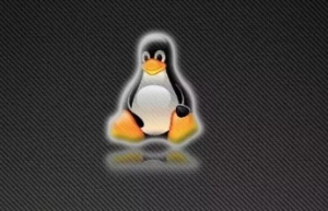 在 Linux 命令行里与其他用户通信