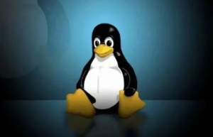 Linux磁盘空间释放问题