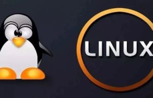Linux 的僵尸(zombie)进程