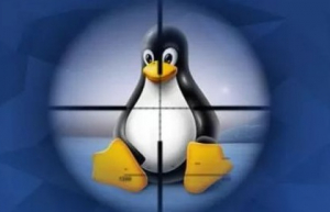 Linux奇技淫巧：一款特别轻量级的网页浏览器