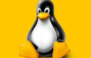 程序员需要了解的10个Linux命令