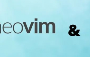 开发人员为什么更喜欢 NeoVim 而不是 Vim ？