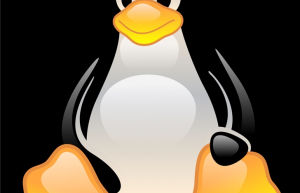 【Linux系统优化】解放你的内存空间——swap和buffer优化指南