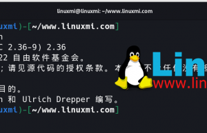 Linux上的ldd命令：如何轻松查找和管理软件包依赖关系