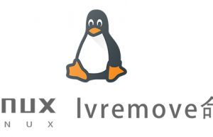 Linux常用命令—lvremove命令